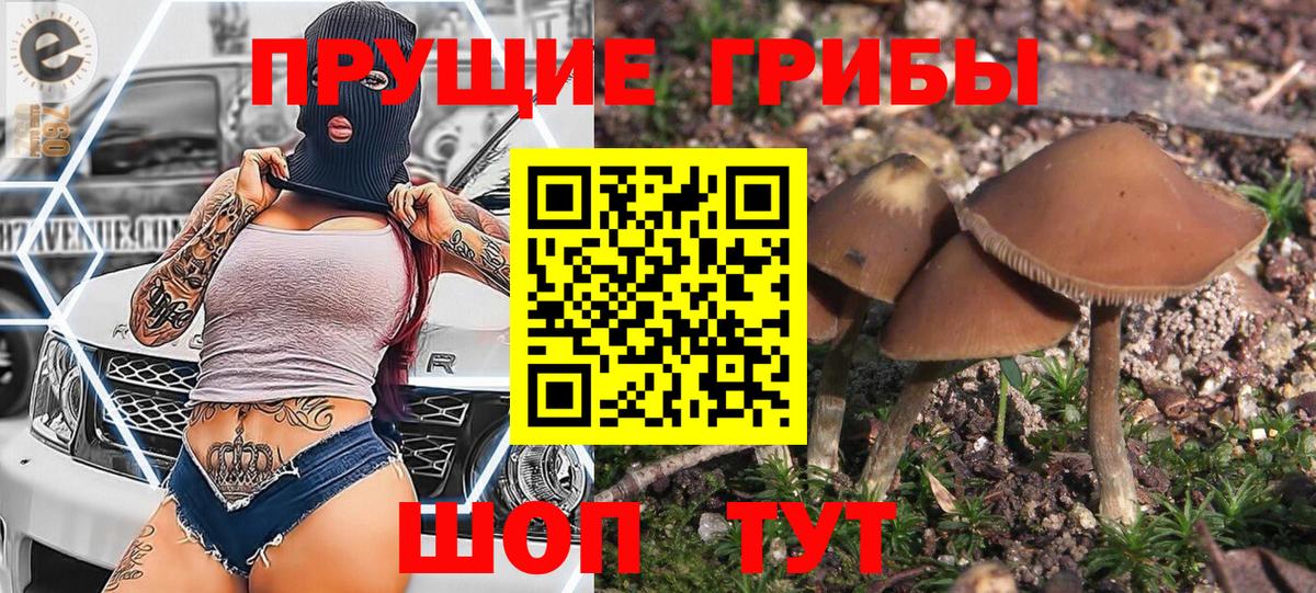 Псилоцибиновые грибы Psilocybine cubensis  Вход с VPN  Карачаевск  Псилоцибиновые грибы Magic Shrooms 