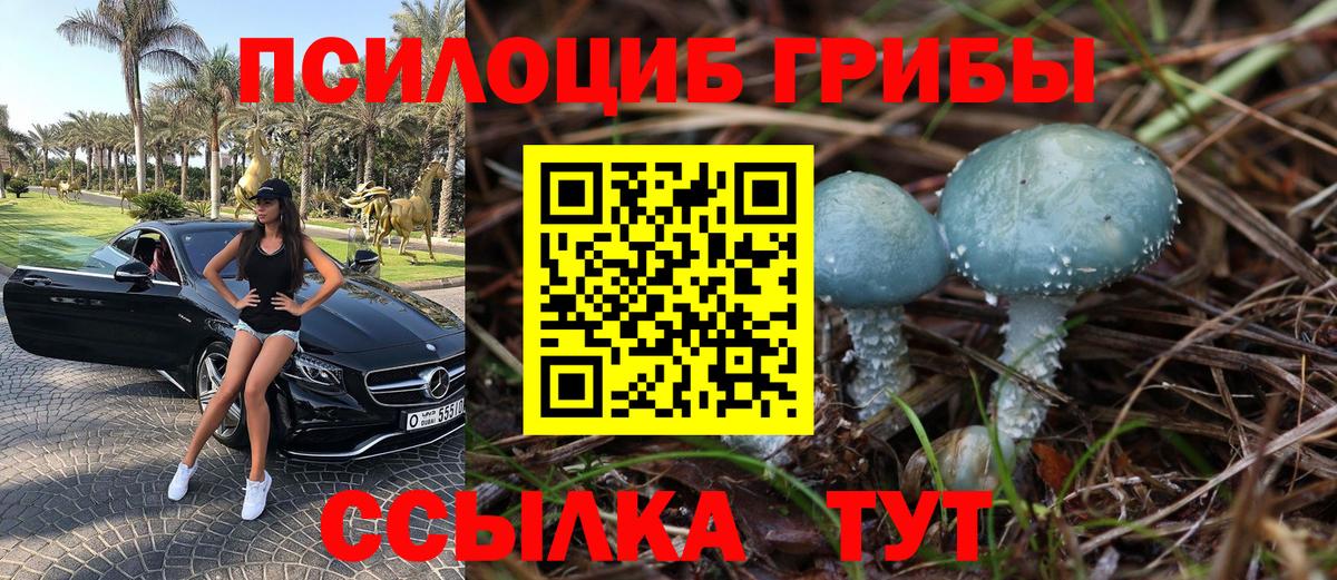 Псилоцибиновые грибы мухоморы Карачаевск